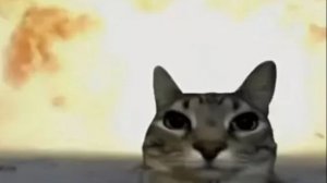 —А куда мир катится😬 (у меня много идей для анимок и так же много лени..)