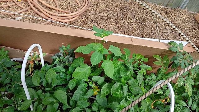 Погода дрянь, но мы не унываем