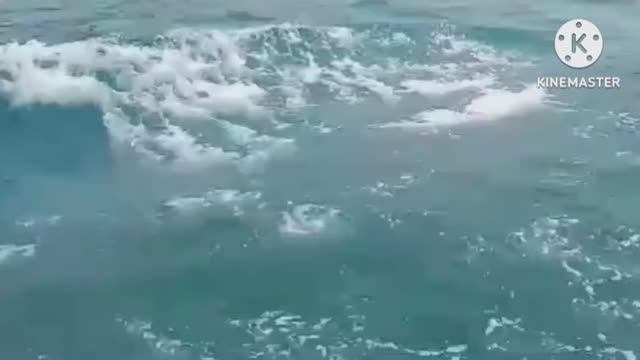 УМАР КЕЙН . ШИКАРНАЯ МУЗЫКА ДЛЯ РЕЛАКСА. МОРЕ