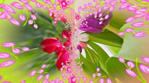 Весна! Очаровательные тюльпаны 4! Киностудия Мудрого Кота Тимофея!