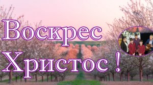 Воскрес Христос ! декламация семья Збирун