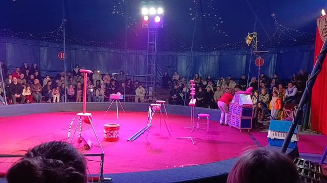 К нам приехал цирк.