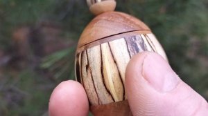 Шкатулка в апрельском лесу на сосновой лапе