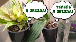 ЗВЕЗДНАЯ РАСПАКОВКА! КАК ЖЕ Я ЕГО ЖДАЛА! 🥰 28-04-2026