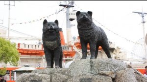 Обреченные на гибель. Брошенные в Антарктике: история Таро и Дзиро