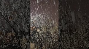 На зацикленных ...