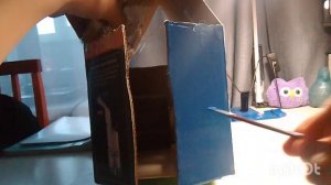 Крашу ворота гаража