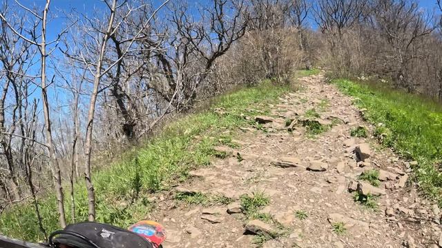 Собер баш 25.04 смотреть онлайн