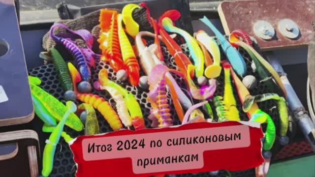 Итог 2024 по силиконовым приманкам