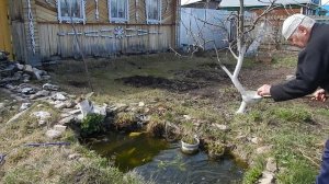 С котом фонтан запустили