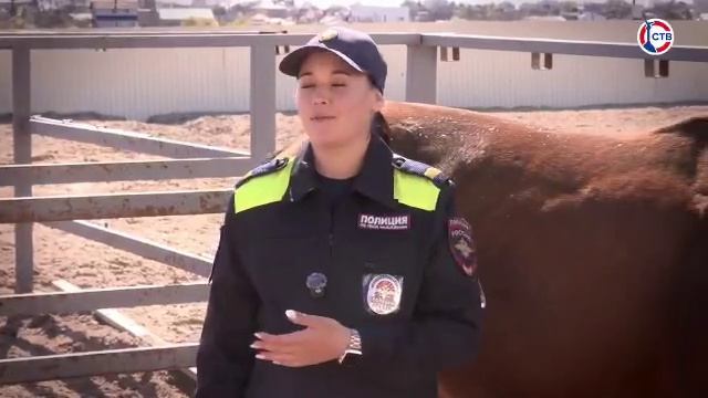 Конный патруль полиции уже четыре года несёт службу там, где обычный автомобиль бессилен