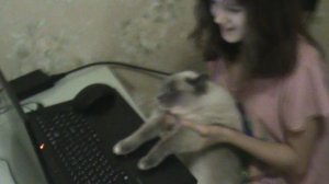 2)ДОМА КУЗЯ И ВИОЛЕТТА