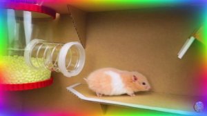 Большое приключение маленького хомячка 3