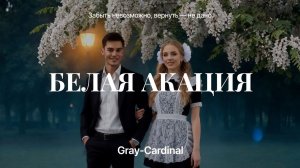 Gray-Cardinal — Белая акация! Soviet Synth-Pop / Nostalgic Ballad