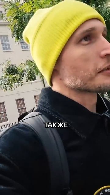 Схожесть UCL и Columbia University #Shorts