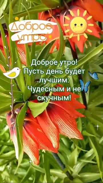 Доброе весеннее утро!