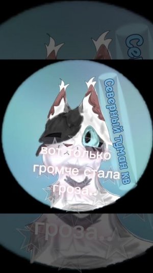 арт на конкурс меовла