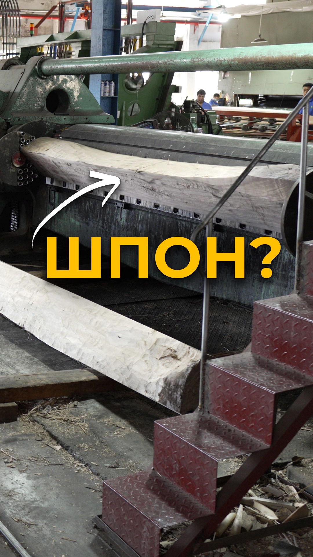 Процесс изготовления шпона для будущей мебели #мебельизкитая #мебельныйтур