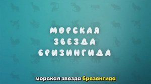 🎈Самые необычные виды морских звезд, развивающий мультфильм для детей.