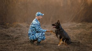 Собаки сургутских кинологов показали, что умеют
