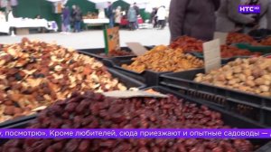 В Ирбите стартовал сезон «Зеленой ярмарки»