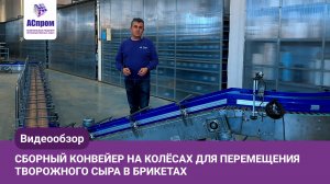 Сборный конвейер на колёсах для брикетов творожного сыра | Обзор и применение