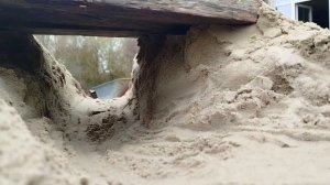 машинки на пульте управления