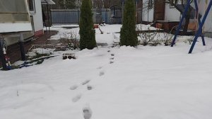 Природа рулит сегодня 28.04