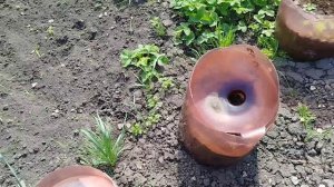 Глаза боятся, а руки делают...дела огородние