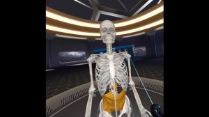 3dorganonXR геймплей для проекта