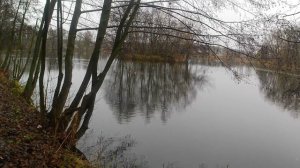 весна пришла