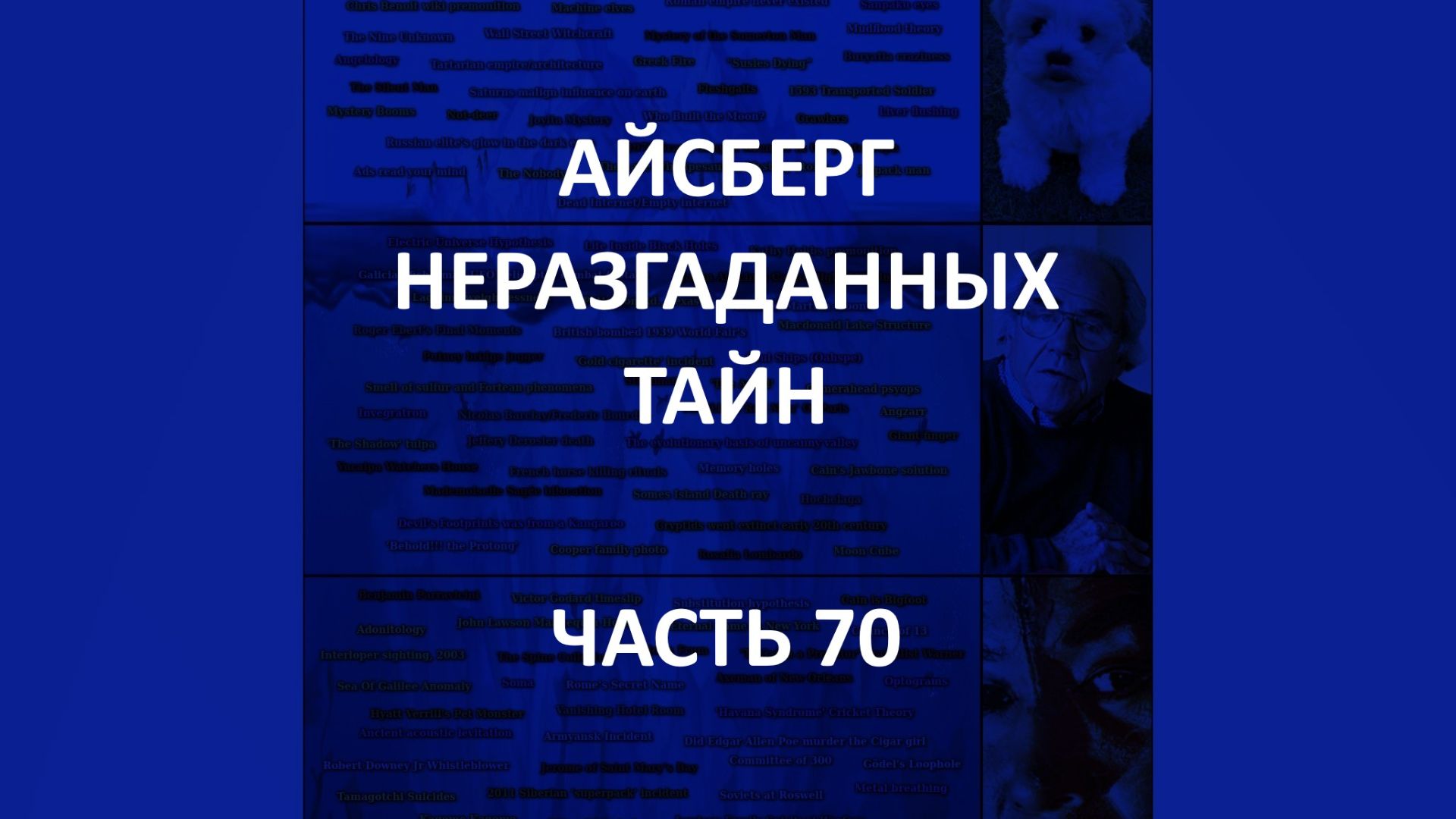 АЙСБЕРГ неразгаданных тайн Часть 70 | Видения Бирмингема, Убийство динозавра, Черепаха из Манота