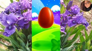 Коллекция новых игрушек из Яиц с Сюрпризом распаковка #213/ Игровой мультфильм для детей про игрушки