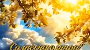 Солнечного утра!