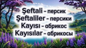 Фрукты на турецком языке 🇹🇷💙 как правильно произнести на турецком языке 🇹🇷💙