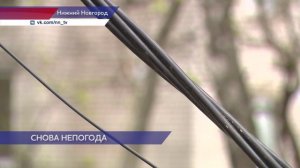 Штормовой ветер повалил деревья и повредил автомобили в Нижнем Новгороде