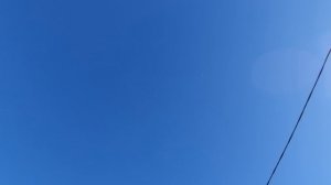 28.04.26 г. Андижанская порода голубей (2)