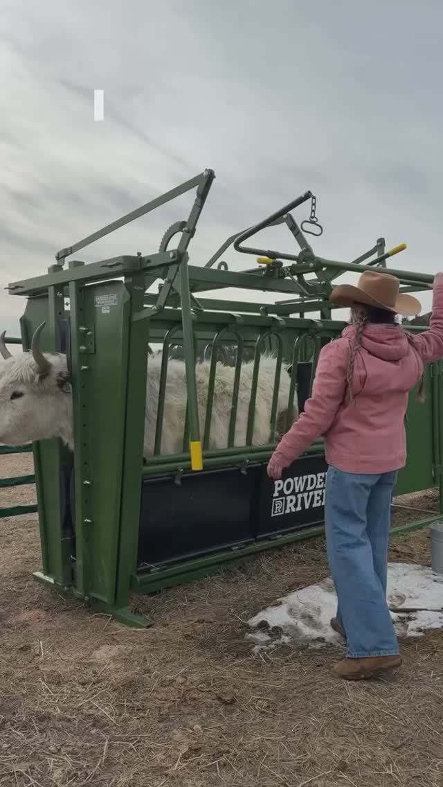 Вечер на ферме