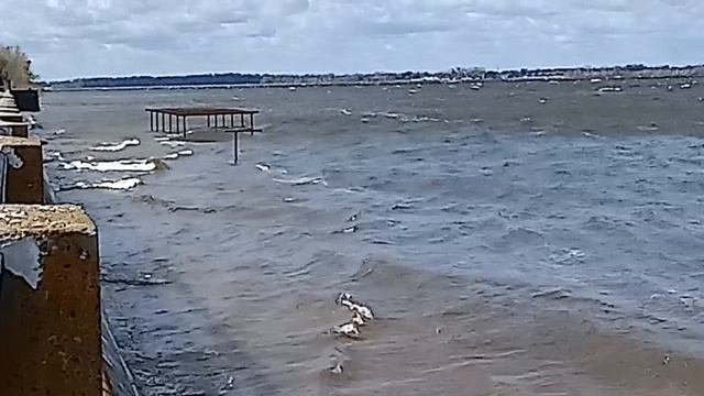 **НЕ УЧИТЕ МЕНЯ ЖИТЬ**АВТОР СЛОВ. Hovhannes      (HOYO) ПРОСТО БРАВО. ОТЛИЧНО👍👏😆. СО МНОЙ. КЛАСС.