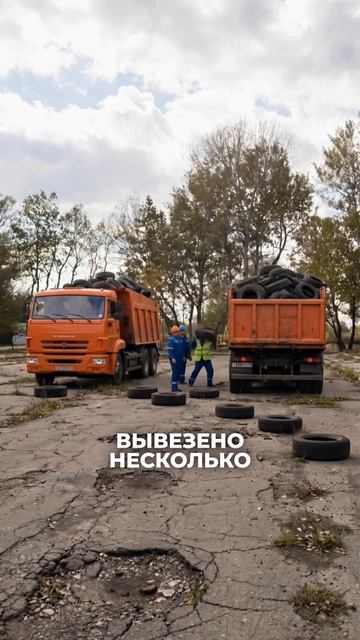 Как авторынок превратился в красивый парк