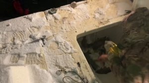 привоз 2 тонны карпа на большой водоём