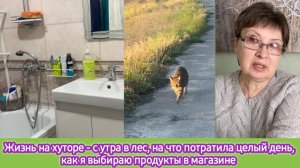 Жизнь на хуторе - с утра в лес, на что потратила целый день, как я выбираю продукты в магазине