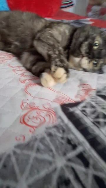 Всем хорошего дня