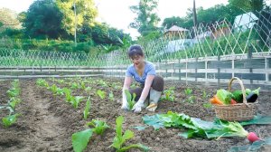 Подготовка почвы, внесение удобрений и посадка семян. Руководство по методам выращивания | Нхат.