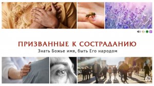 ПРИЗВАННЫЕ К СОСТРАДАНИЮ | Серия «Духовные открытия» | Аудио