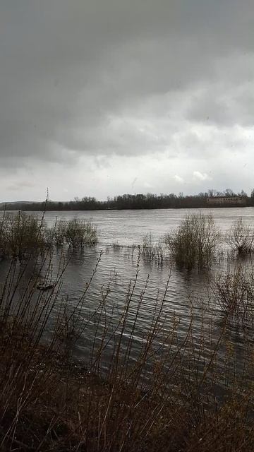Вода убывает, р.Ока 28 апреля 2026г.