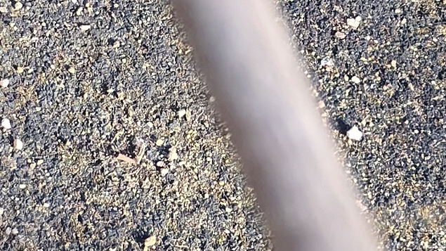 # БЭКУМС # Серия 4 "Кто он?..."