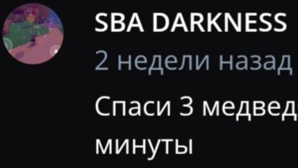 Челлендж в супер беар адвинчер