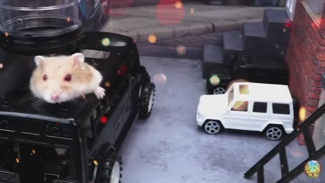 Приключения хомячка в мире кино! 4