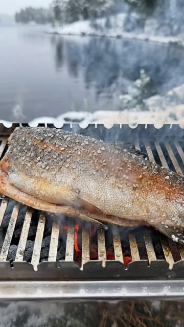 Форель, ради которой ждут не секунду, а момент